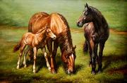 Horses 038